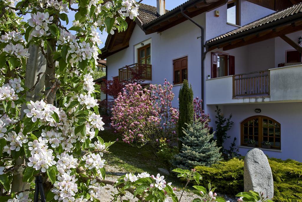 B&B La Casa Del Sole San Michele allʼAdige Exteriör bild